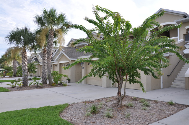 Lake Nona Property Management company in Myrtle Creek