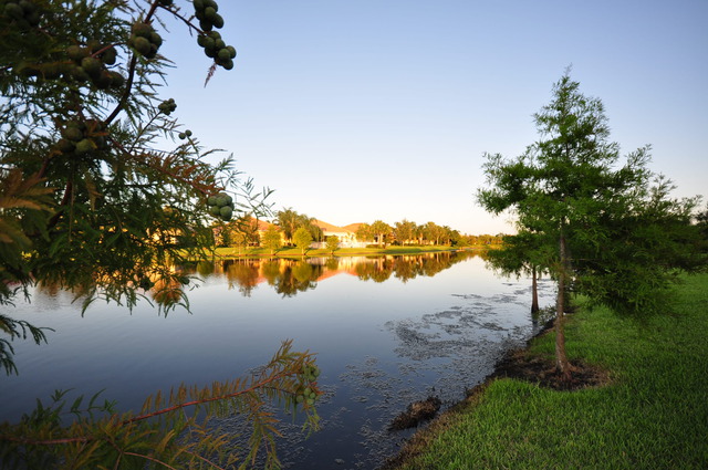 Lake Nona - Village Walk Real Estate Management Company